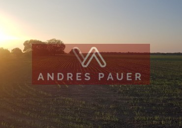 VENTA DE CAMPO