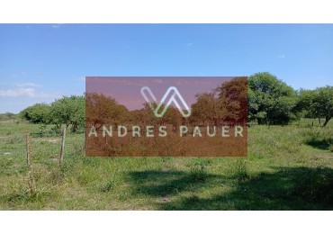 VENTA DE CAMPO-CHACRA